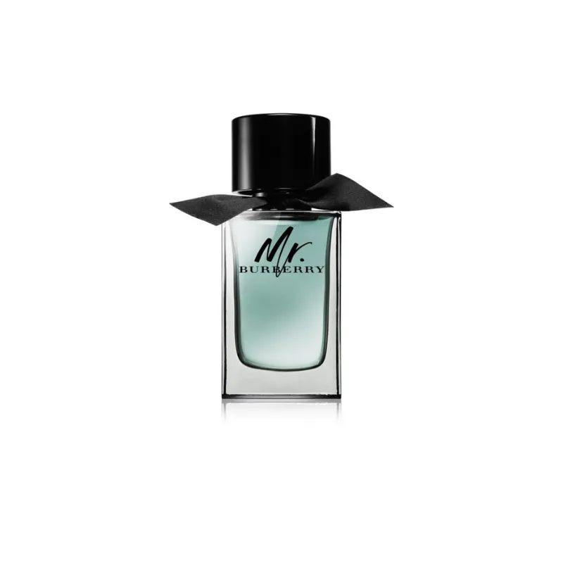 Burberry Mr.Burberry Eau de Toilette for Men