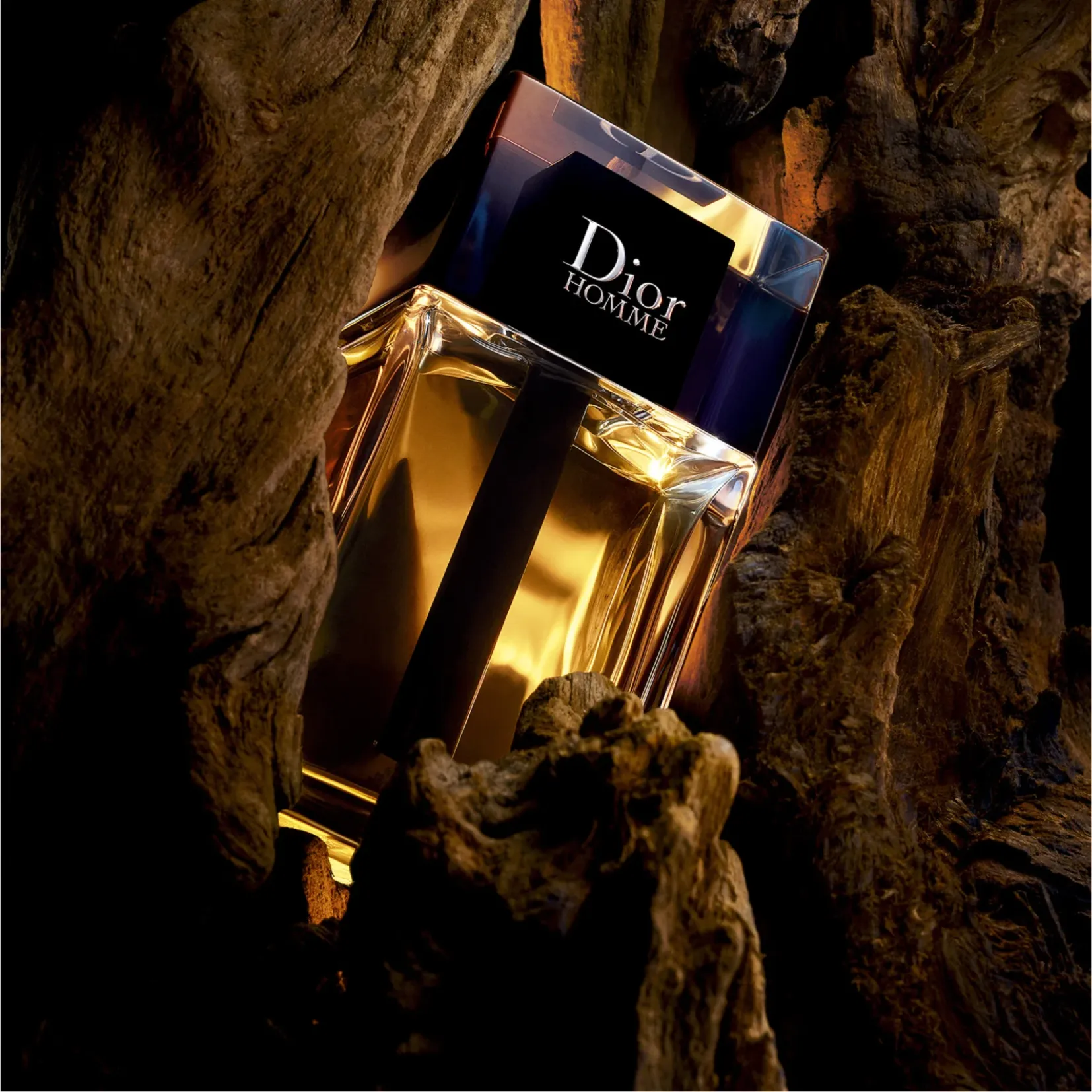 Dior Homme Eau de Toilette for Men