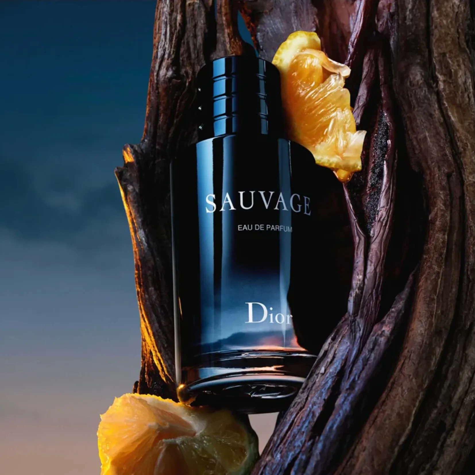 Dior Sauvage Eau de Toilette for Men