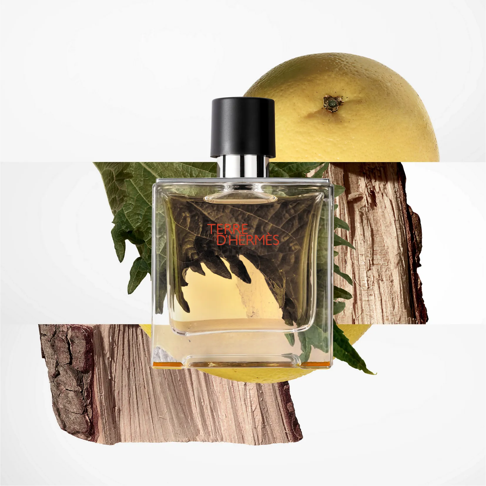 Hermes Terre de Hermes Eau de Toilette for Men
