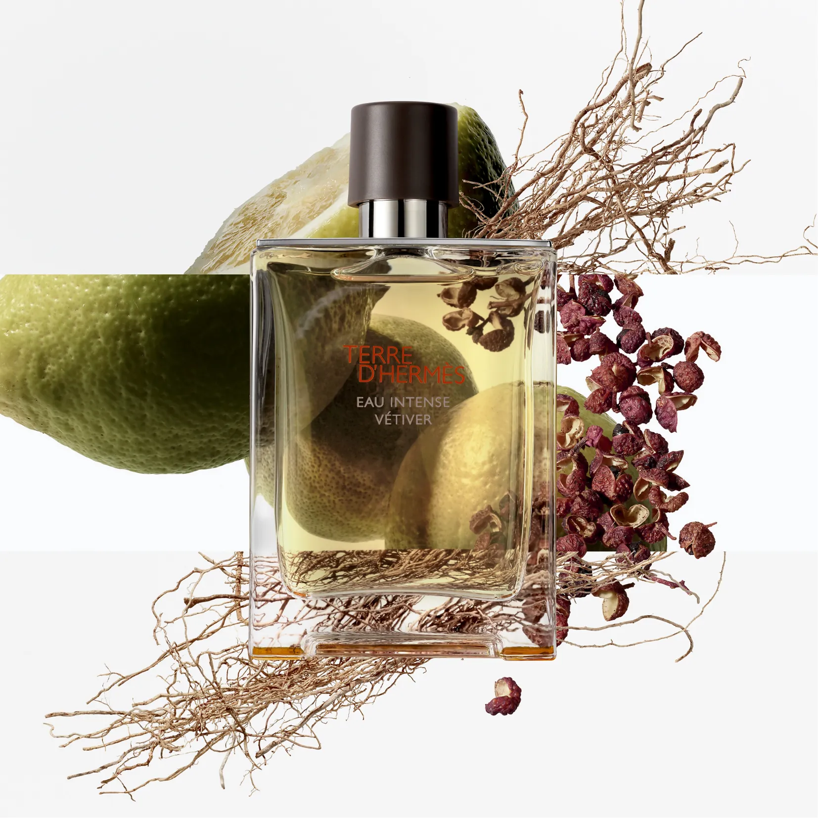 HERMES Terre de Hermes Eau Intense Vétiver Eau de Parfum for Men