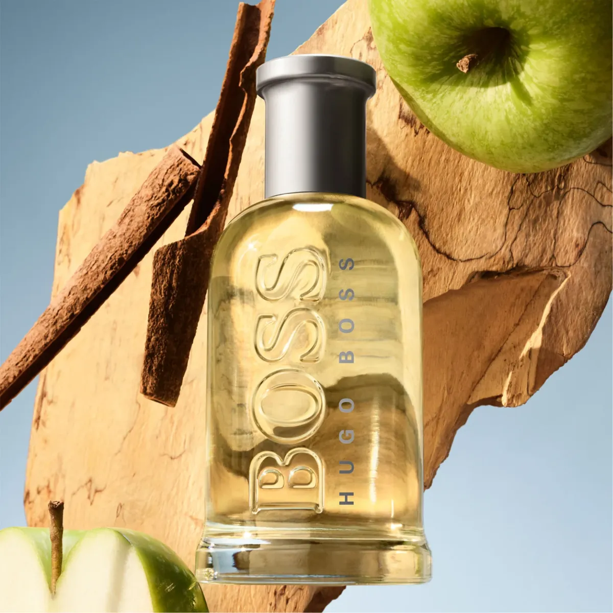BOSS Bottled Eau De Toilette for Men