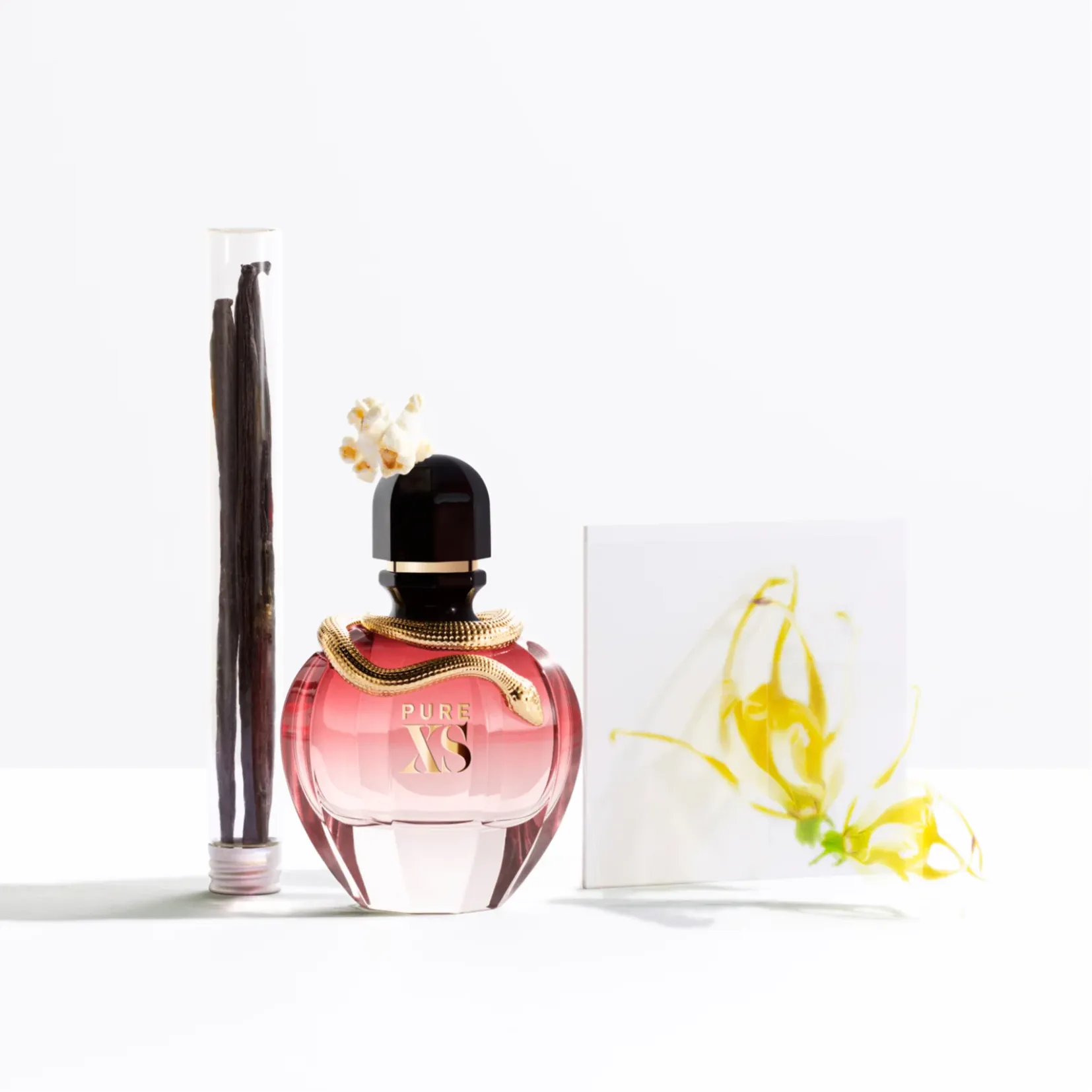 Paco Rabanne Pure XS Eau de Parfum for Women