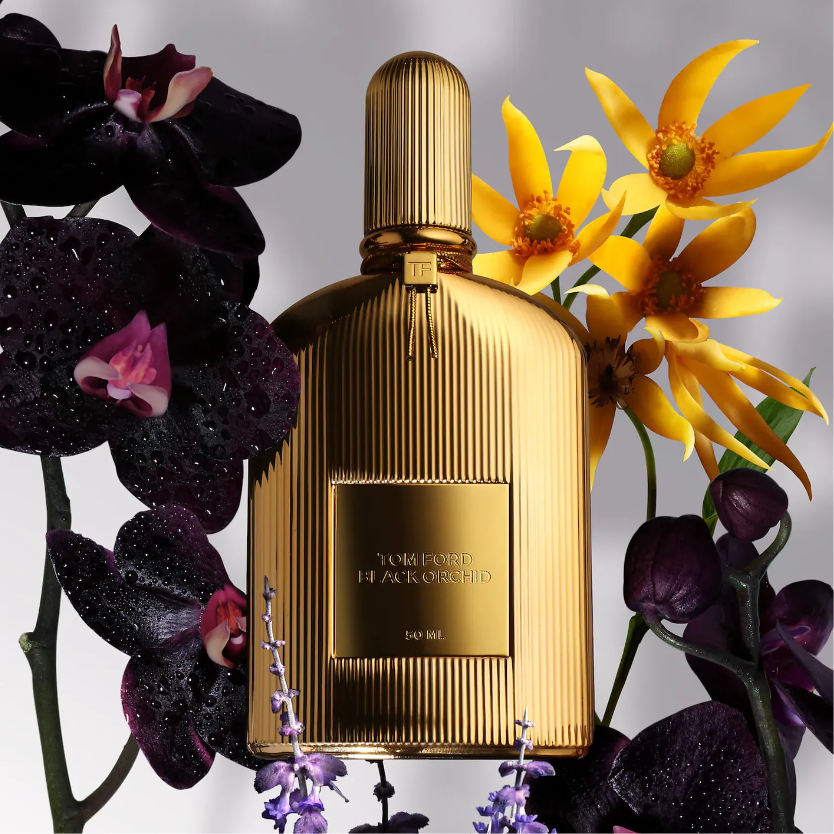 Tom Ford Black Orchid Parfum for Unisex